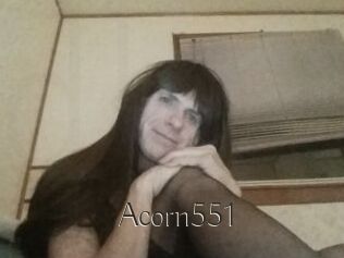 Acorn551