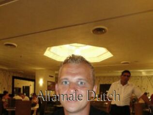 Alfamale_Dutch