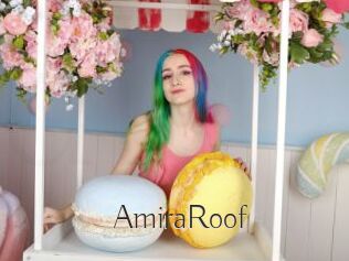 AmiraRoof