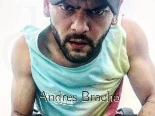 Andres_Bracho