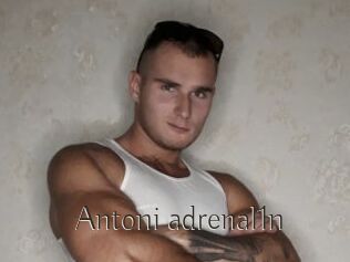 Antoni_adrenal1n