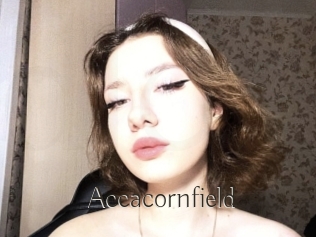 Accacornfield