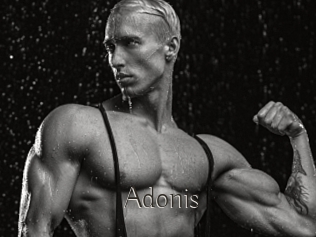Adonis_