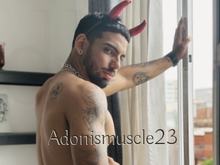 Adonismuscle23