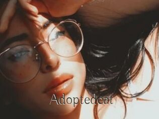 Adoptedcat