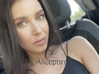 Alicepurr