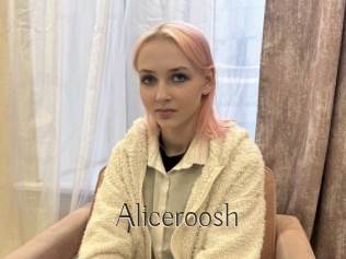 Aliceroosh