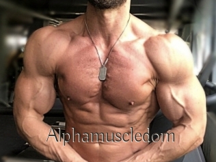 Alphamuscledom