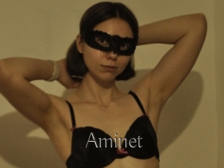 Aminet