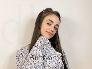 Amityarnet