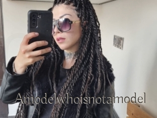 Amodelwhoisnotamodel