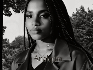 Analquin