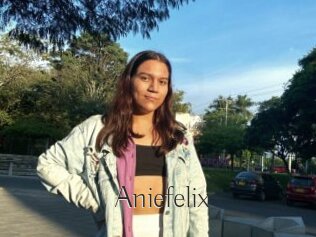 Aniefelix