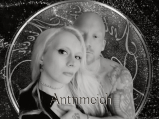 Antnmeich
