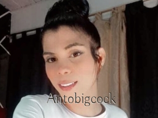Antobigcock