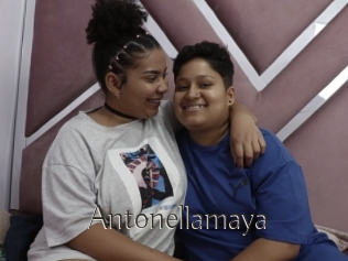 Antonellamaya