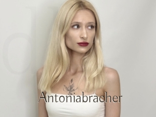 Antoniabracher