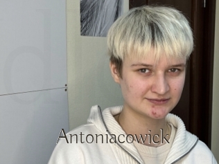 Antoniacowick