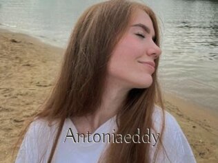 Antoniaeddy