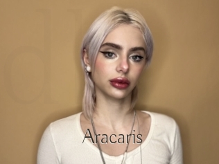 Aracaris