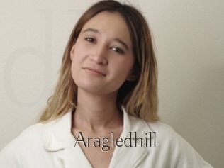 Aragledhill