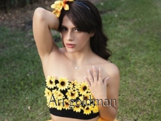 Ari_goldman