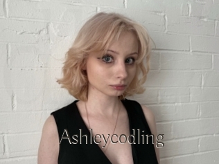 Ashleycodling