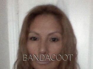 BANDACOOT