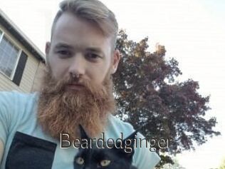 Beardedginger