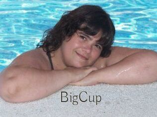 BigCup