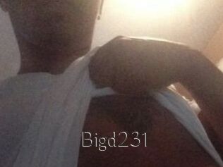 Bigd231