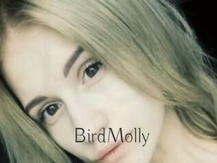 BirdMolly