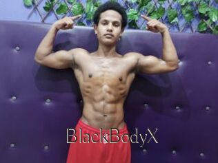 BlackBodyX