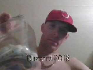 Blizzard2018