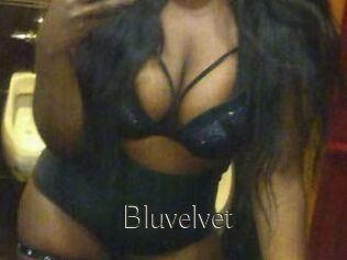 Bluvelvet