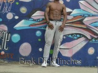 Brak_Dick11inches