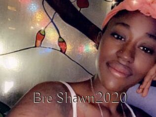 Bre_Shawn2020