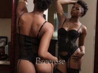 Breerose