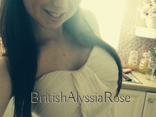 BritishAlyssiaRose