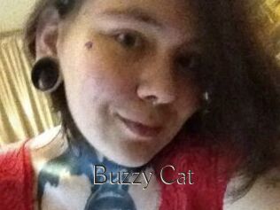 Buzzy_Cat