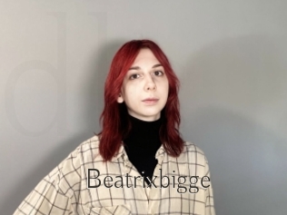 Beatrixbigge