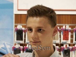 BedSem