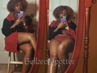 Bellarosepotter