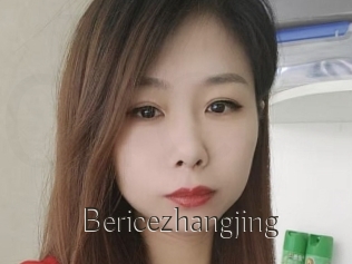 Bericezhangjing
