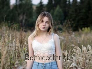 Berniecelittleb