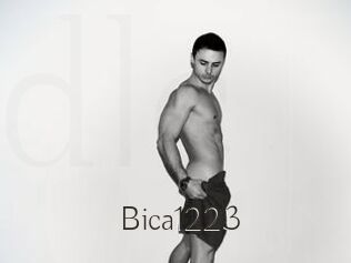 Bica1223