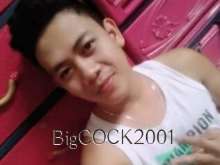 BigCOCK2001