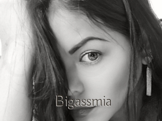 Bigassmia