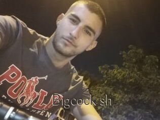 Bigcock_sh