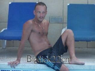 Bigdick22cm